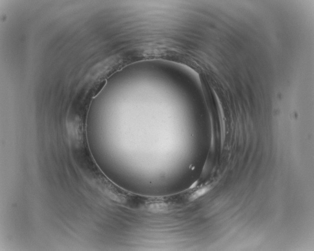 X0000076090228200609291234