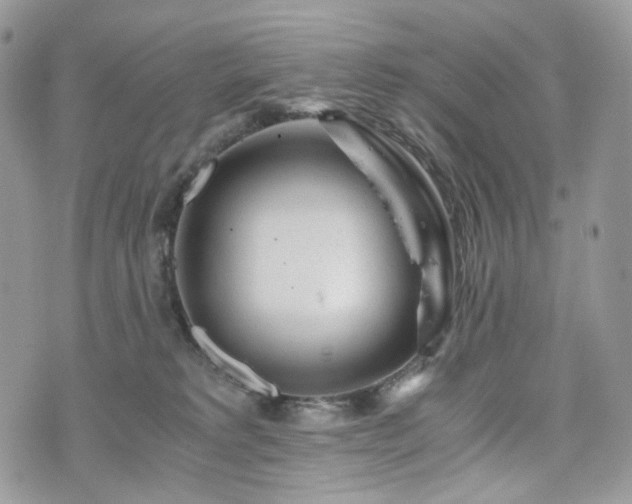 X0000076090229200609291234