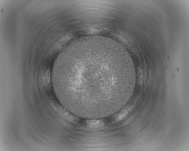 X0000076090230200609291234