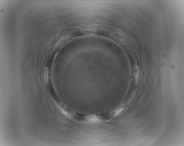 X0000076090231200609291234