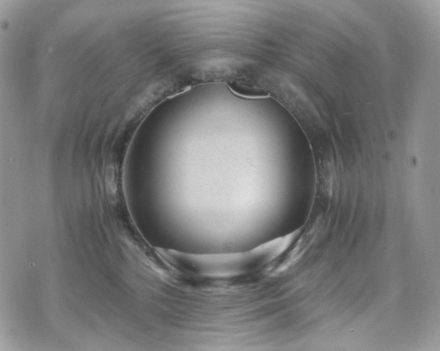 X0000076090232200609291234