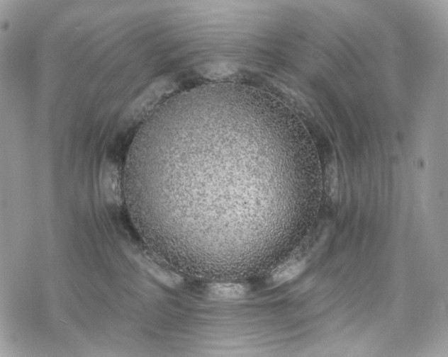 X0000076090234200609291234