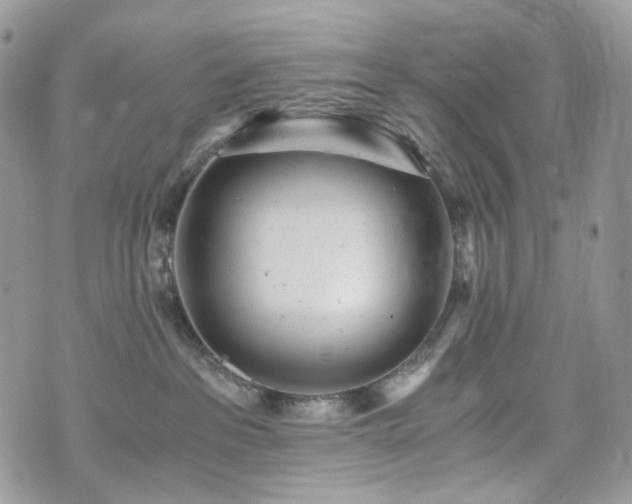 X0000076090237200609291234