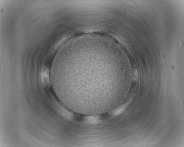 X0000076090238200609291234