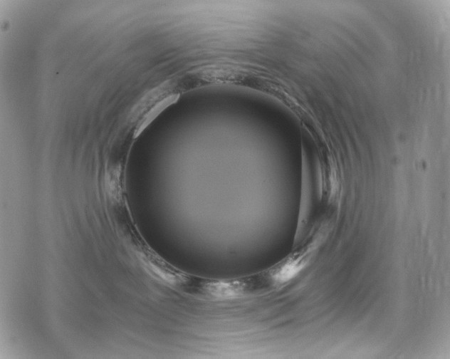 X0000076090239200609291234