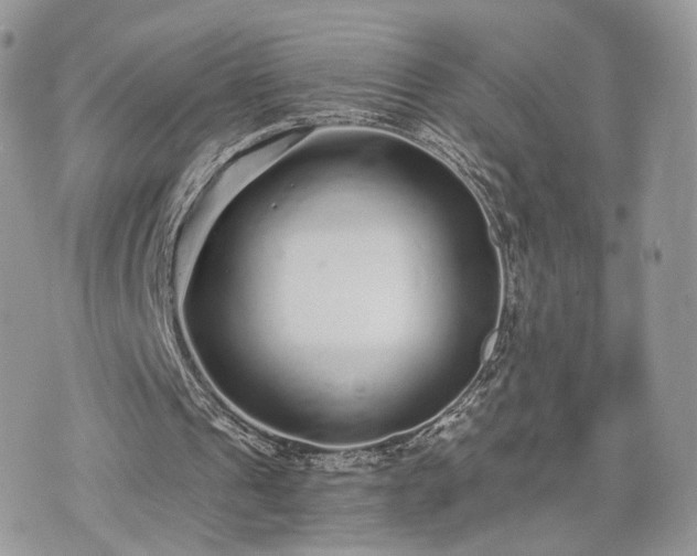 X0000076090241200609291233