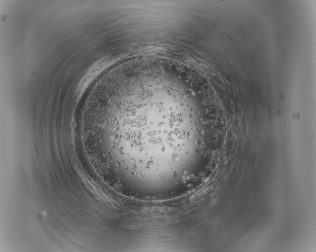 X0000076090242200609291233