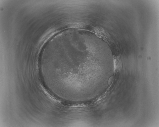 X0000076090243200609291233