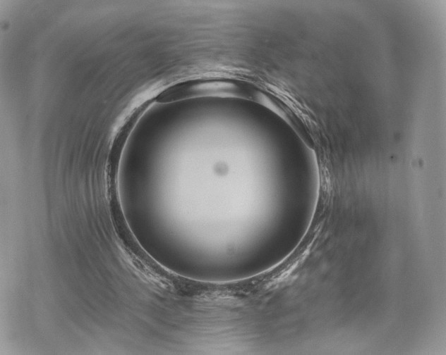 X0000076090244200609291233