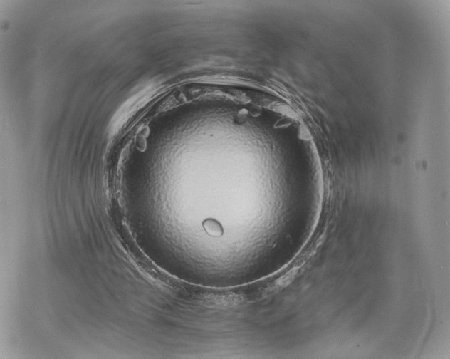 X0000076090245200609291233