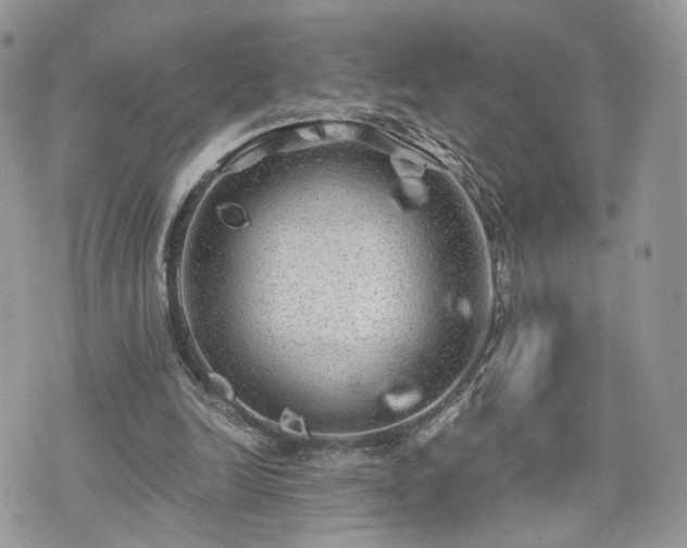 X0000076090246200609291233