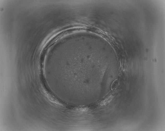 X0000076090247200609291233