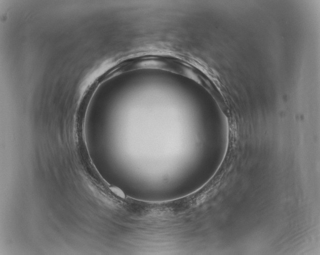 X0000076090248200609291233