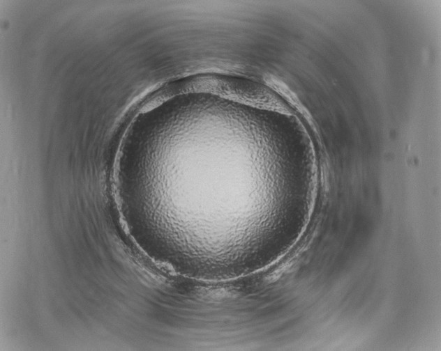 X0000076090249200609291233