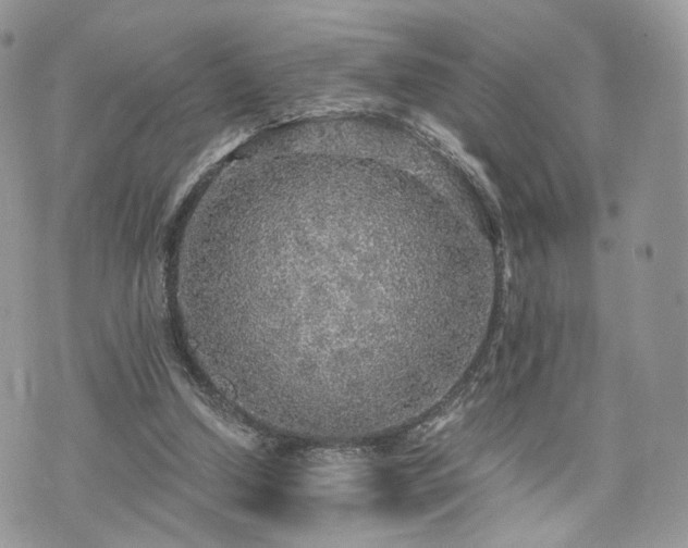 X0000076090250200609291234