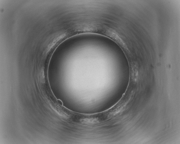 X0000076090251200609291234