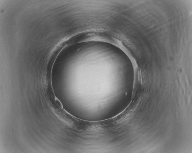 X0000076090252200609291234