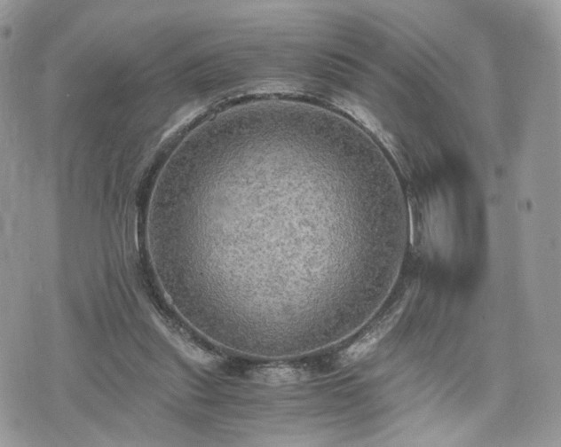 X0000076090253200609291234