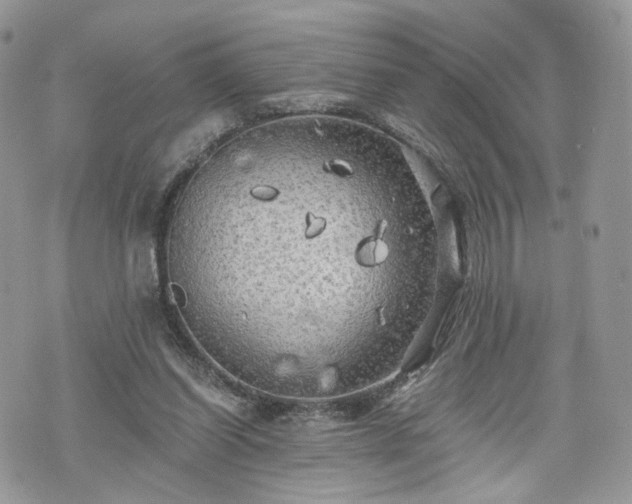 X0000076090254200609291234