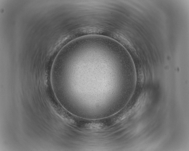 X0000076090255200609291234