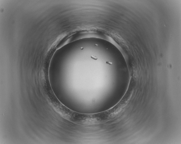 X0000076090256200609291234