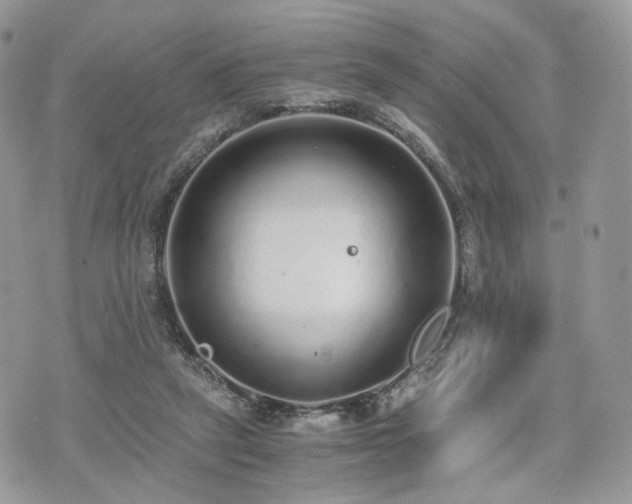 X0000076090257200609291234