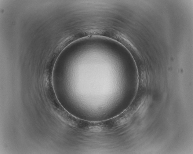 X0000076090259200609291234