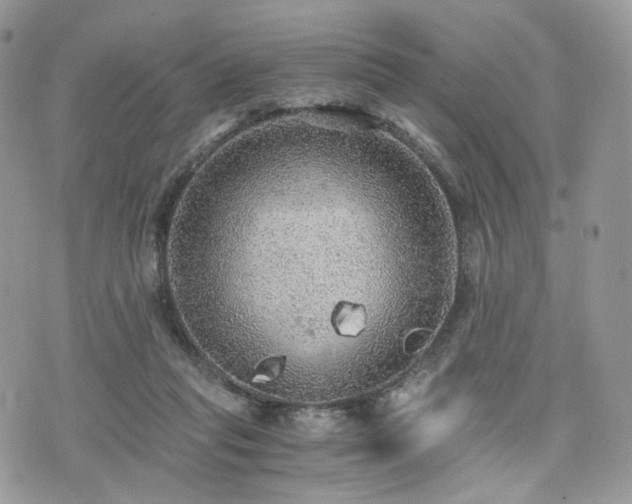 X0000076090261200609291234