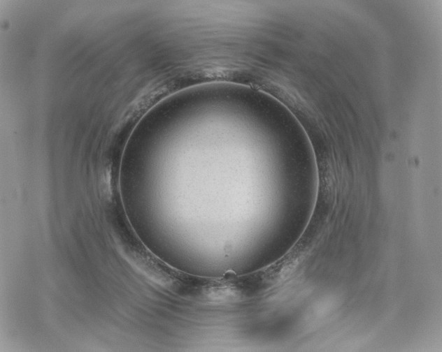 X0000076090262200609291234