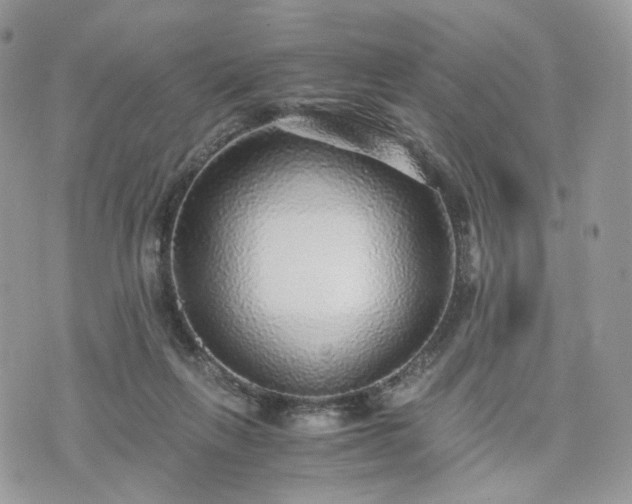 X0000076090263200609291234