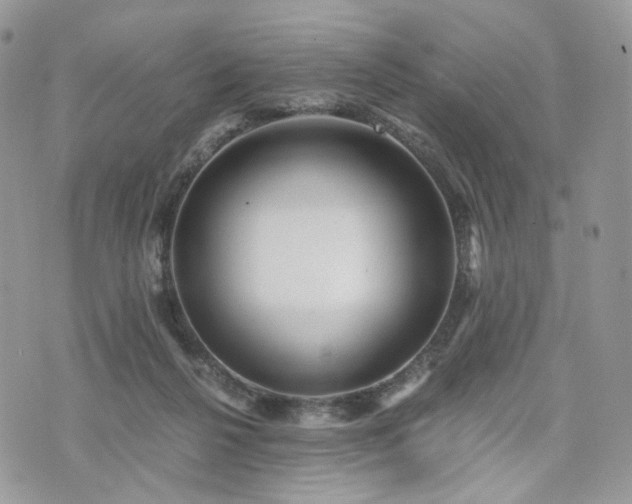 X0000076090264200609291234