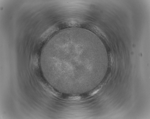 X0000076090266200609291234