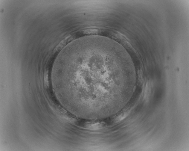 X0000076090267200609291234