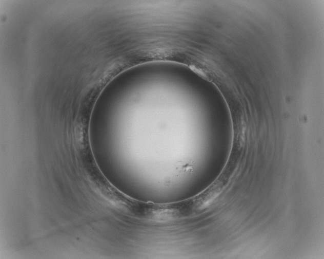 X0000076090268200609291234