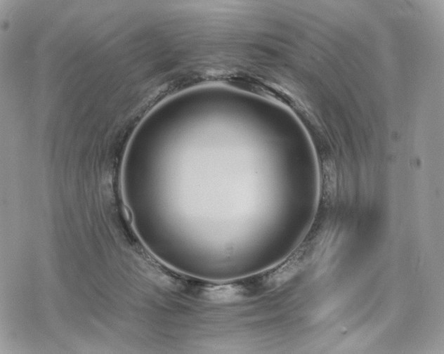 X0000076090269200609291234