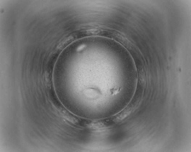 X0000076090270200609291234