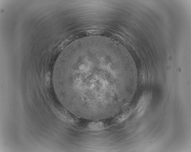 X0000076090271200609291234