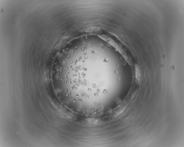 X0000076090272200609291234