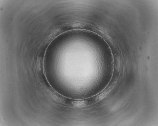 X0000076090273200609291234