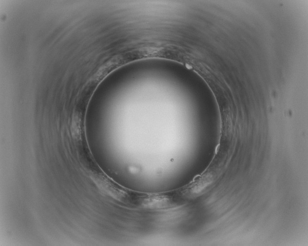 X0000076090274200609291234