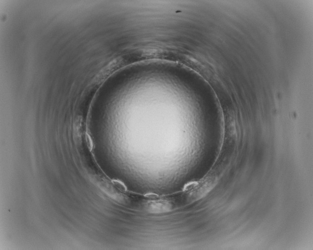 X0000076090275200609291234