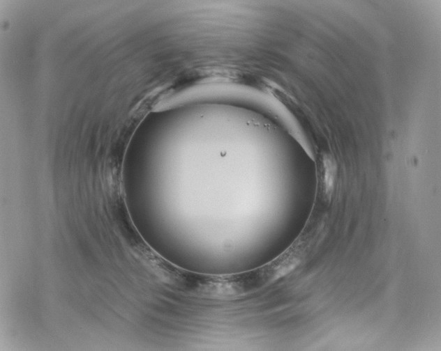 X0000076090276200609291234