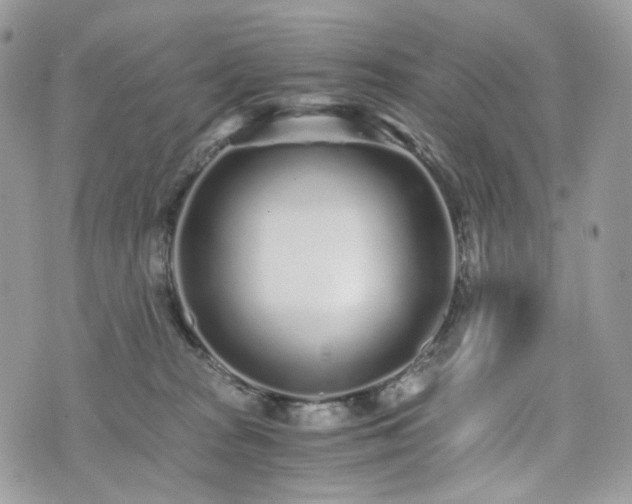 X0000076090277200609291234