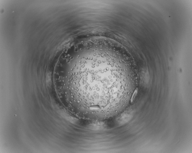 X0000076090278200609291234