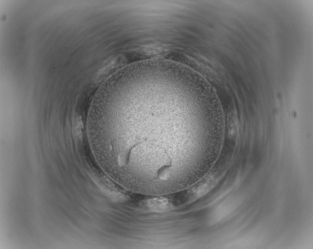 X0000076090279200609291234