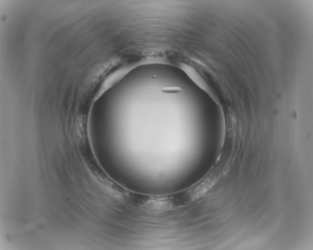 X0000076090280200609291234