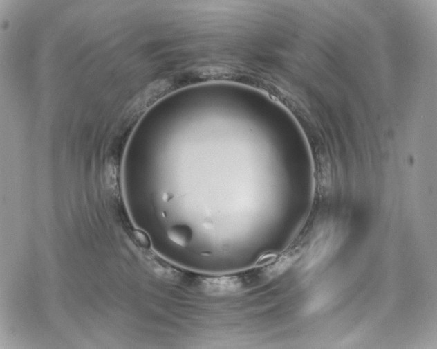 X0000076090281200609291234