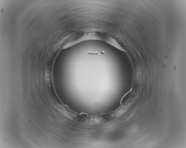 X0000076090282200609291234