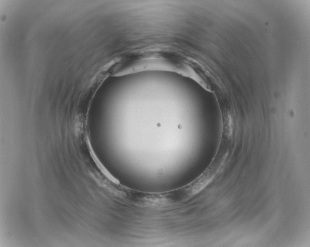 X0000076090284200609291234