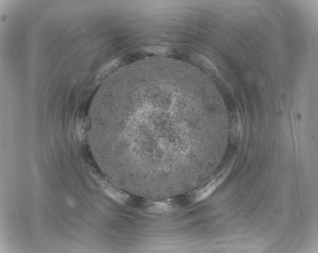 X0000076090285200609291234